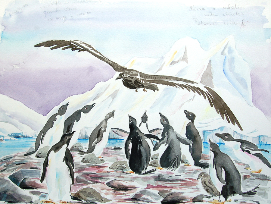 Antarctic sketchbook MaryAnne Bartlett